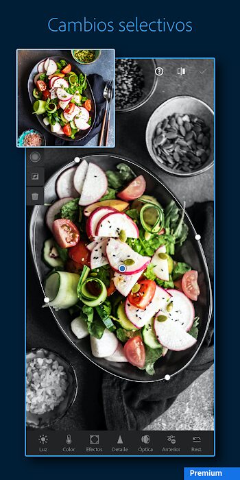 Download Lightroom Mod Apk V9.2.2 (Premium Unlocked) For Free In 2023 On Modyota.com Download Lightroom Mod Apk V9 2 2 Premium Unlocked For Free In 2023 On Modyota Com 14871 2