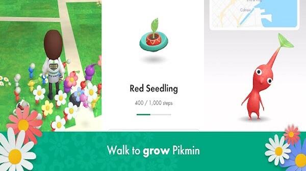 Pikmin Bloom App